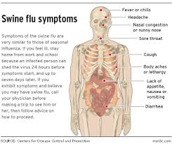 swine flu precautions
