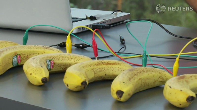 Tech’s new cutting edge: Musical bananas! – Tech Tonic