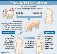 Awareness About H1N1 Flu (Swine Flu)