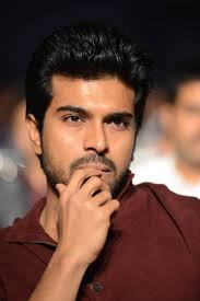 I respect neighbours and their privacy: Ram Charan