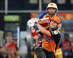 Warner appointed Sunrisers Hyderabad captain