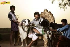 Madras High Court Appoints Panel to Review Komban