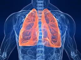 Chennai Patient gets lungs from Vizag