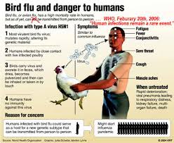 Telangana State on Bird Flu Alert Again