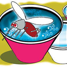 117 dengue cases confirmed in Chittoor