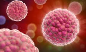 New electrical mechanism could help control cancer cell growth