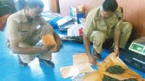 Renigunta police seized 220 kg of ganja worth Rs.30 lakh