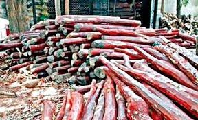 Five inter-state red sanders smugglers held in Andhra