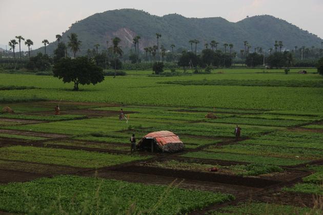 New Clothes & Invitation Cards for AP Capital Farmers